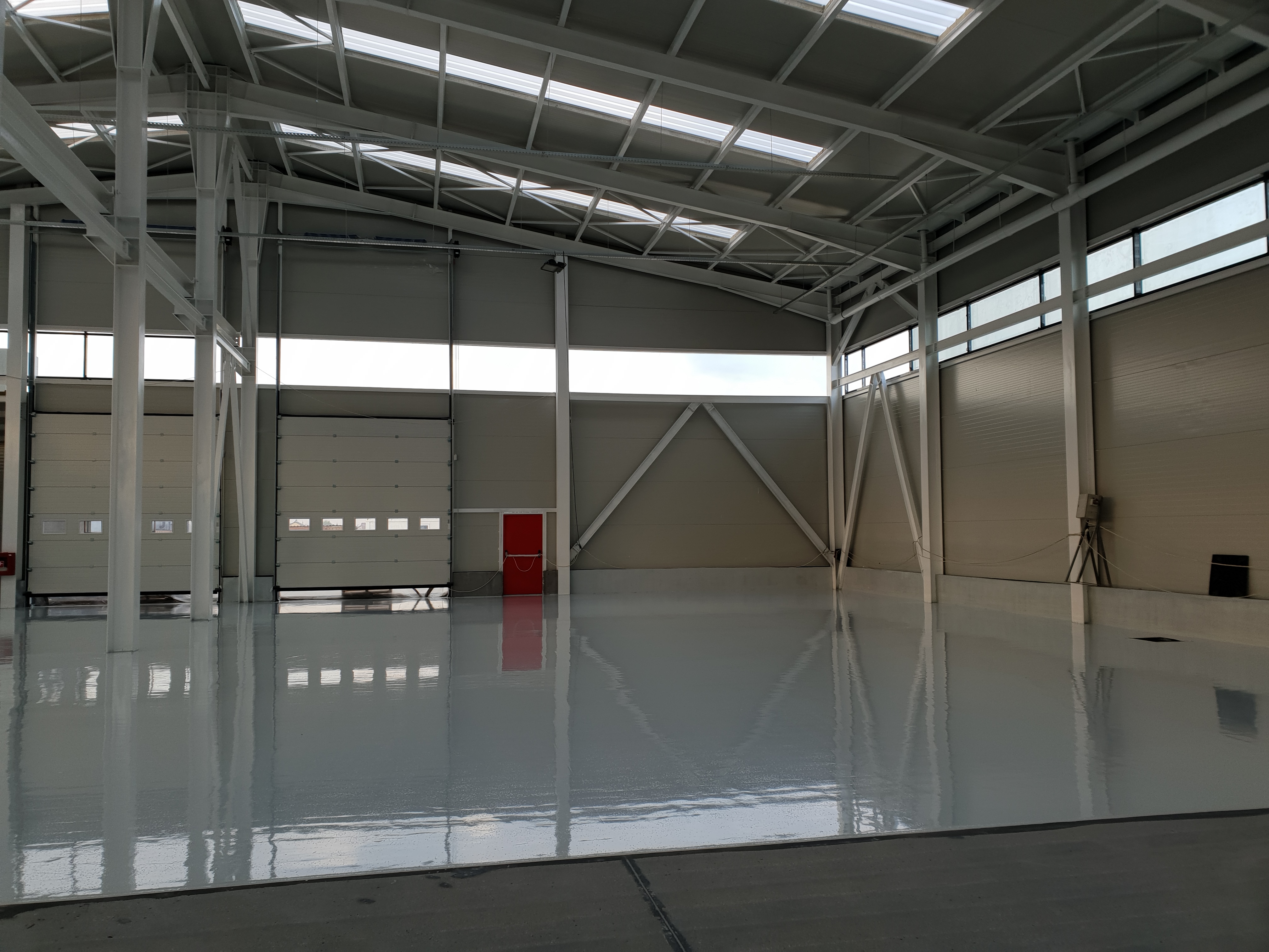 Proiect Romascanu 2