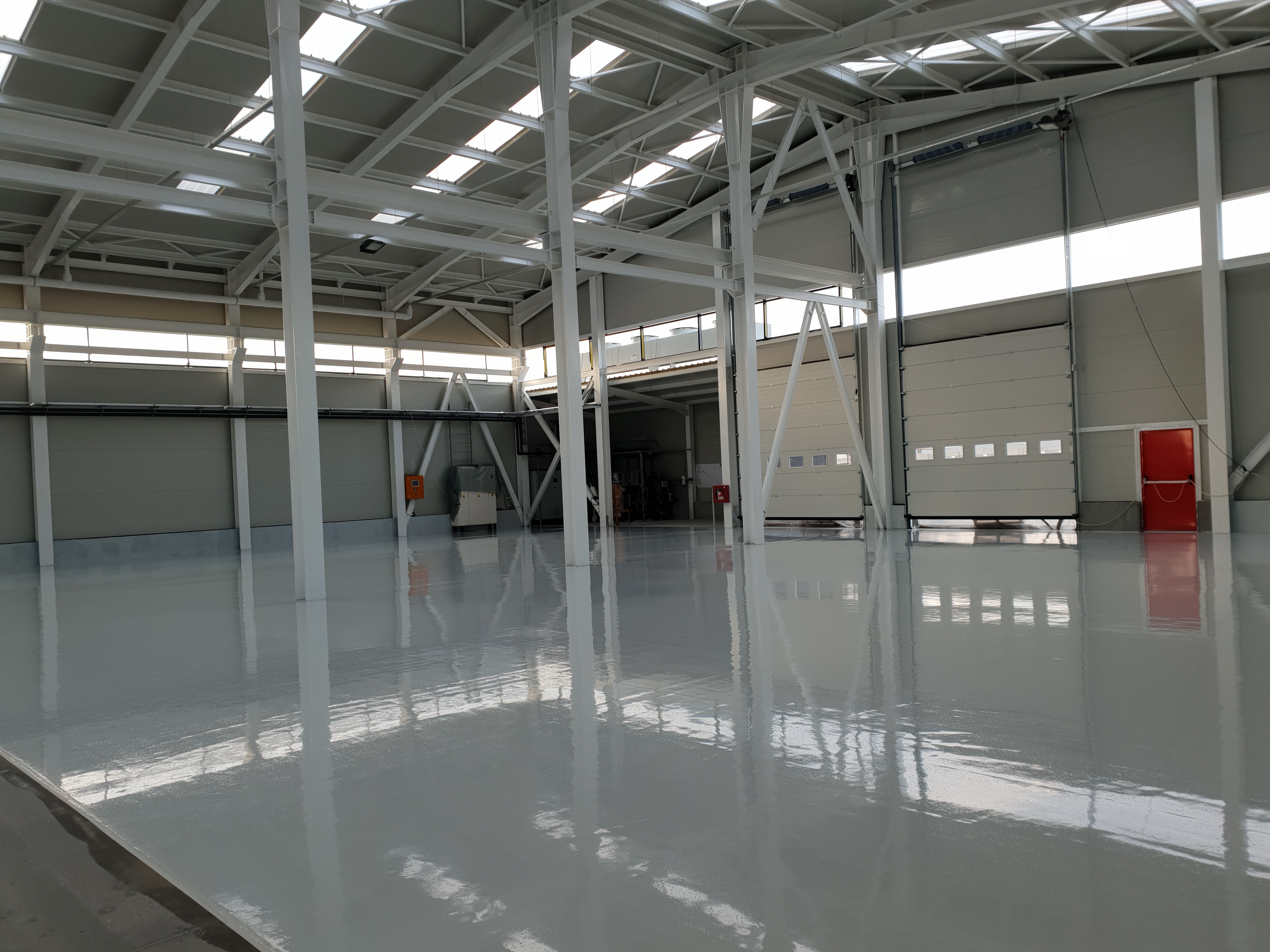 Proiect Romascanu 1
