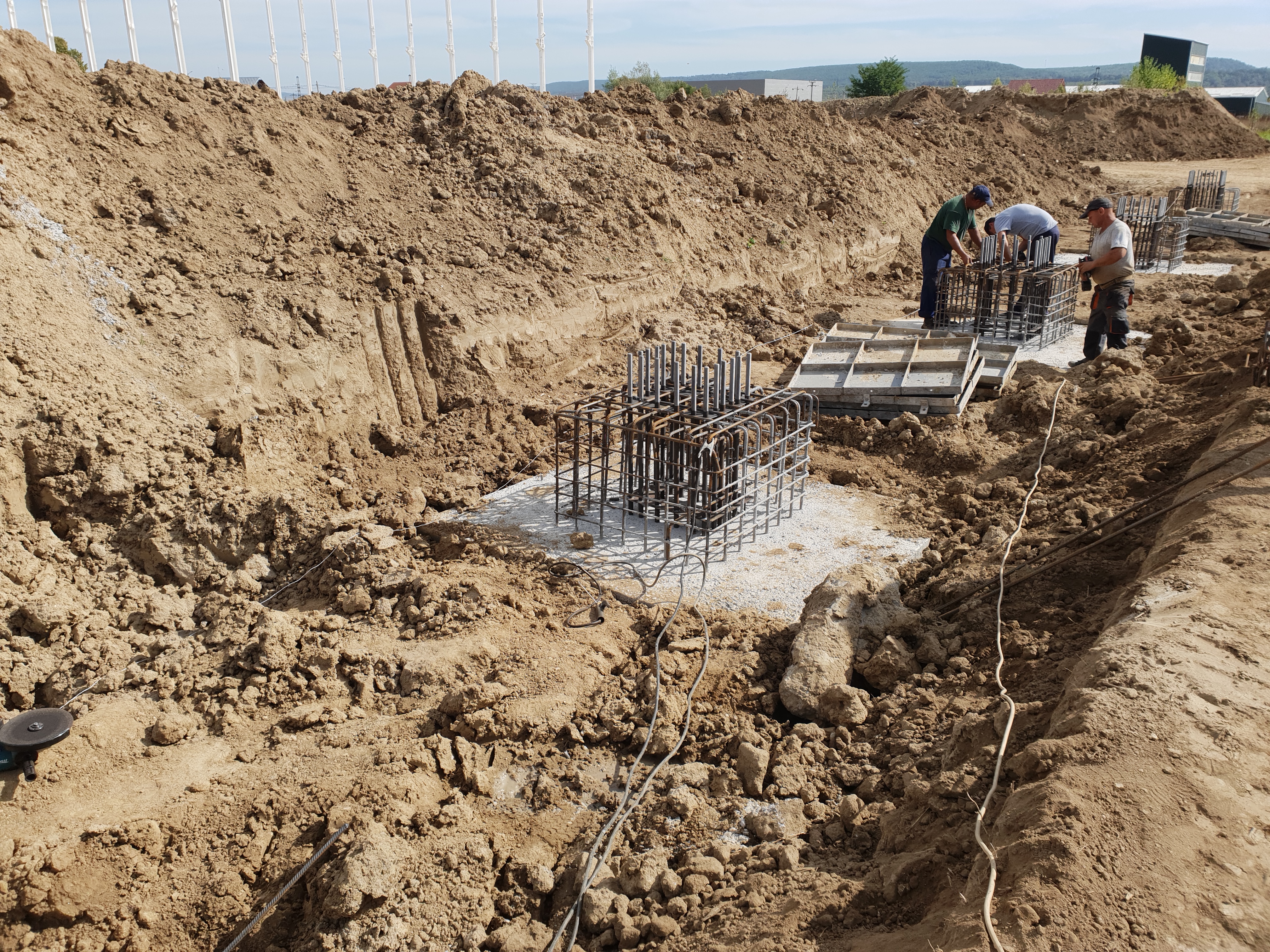 Proiect Romascanu 5